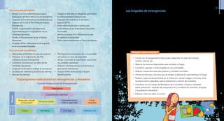 Las brigadas de emergencias
Las brigadas son grupos de trabajo conformados
por docentes, alumnos y miembros del personal
administrativo del centro educativo, que se
organizan para cumplir con una tarea específica
y así responder de forma inmediata y adecuada
frente a una emergencia o desastre. Para el
fin que se designe, todos deben capacitarse y
prepararse con voluntad y responsabilidad. No
hay un número exacto de brigadas, ni funciones
predeterminadas para conformarlas; cada centro
deberáorganizarsesegúnsuspropiascondiciones,
según la cantidad y edad de los estudiantes,
cantidad de docentes y administrativos, etc.
Se recomienda, sin embargo, crear y organizar
las brigadas tomando en cuenta las actividades
más importantes a desarrollarse frente a una
emergencia, considerar las habilidades de los
miembros, elegir un coordinador y un número
no muy grande de integrantes para asegurar
una buena participación. Se sugiere constituir las
siguientes brigadas:
Brigada contra incendios
•	 Contar con el equipamiento básico para responder en caso de incendio:
extintor, alarma, etc.
•	 Mejorar los recursos disponibles para combatir el fuego.
•	 Coordinar y apoyar a otras brigadas en sus actividades.
•	 Adquirir nuevas técnicas para prevenir y combatir incendios.
•	 Utilizar las técnicas y recursos que se tengan a disposición para extinguir el fuego.
•	 Realizar inspecciones periódicas en la institución, revisar riesgos y recursos, tanto
humanos como materiales, para la prevención y control de incendios.
•	 Coordinar con el Cuerpo de Bomberos de la localidad, charlas y campañas
sobre prevención, medidas de autoprotección y combate de incendios, dirigidas
a la población estudiantil.
•	 Elaborar informes sobre el evento.
Funciones del presidente
Funciones del coordinador
•	 Motivar a la Comunidad Educativa para la
Elaboración del Plan Institucional de Emergencia.
•	 Organizar el Comité Institucional de Emergencia.
•	 Elaborar con el CIE el Plan Institucional para
Emergencias
•	 Solicitar la participación de Organismos
Especializados para la Capacitación de las
Unidades Operativas
•	 Facilitar el Equipamiento de las Unidades
Operativas
•	 Socializar el Plan Institucional de Emergencia
en la Comunidad Educativa
•	 Trabajar en Medidas de Mitigación para reducir
las Vulnerabilidades Institucionales
•	 Participar activamente en el Simulacro
•	 Ejecutar el Plan
•	 Emitir informes parciales o totales para
conocimiento de las Autoridades Educativas
Provinciales
•	 Verificar el estado de la infraestructura para
el regreso a la normalidad
•	 Evaluar permanentemente el Plan y actualizarlo.
•	 Reemplazar al Director en caso de ausencia
•	 Participar en la elaboración del Plan
Institucional para Emergencias
•	 Coordinar acciones con los Jefes de las
Unidades Operativas
•	 Organizar el Simulacro y dirigir su evaluación
•	 Socializar en maestros y alumnos las alarmas
•	 Ejecutar las alarmas
•	 Participar en la evacuación de la comunidad
educativa a la zona de seguridad
•	 Recibir y procesar la información que envían
las unidades operativas
•	 Elaborar informes para el conocimiento y
aprobación del Director
•	 Evaluar el Plan Institucional y Sugerir
Modificaciones
Organigrama institucional en emergencias y desastres
Comité Institucional de Emergencias
Brigadas
Contra
incendios
Búsqueda, rescate
y evacuación
Primeros auxilios
Campamentación,
orden y seguridad
Presidente
Coordinador General
Grupos
deapoyo
Policía Cruz Roja Defensa. CivilBomberos
42 43
 