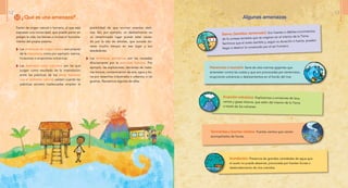 Algunas amenazas
Sismo, (temblor, terremoto): Son fuertes o débiles movimientos
de la corteza terrestre que se originan en el interior de la Tierra.
Sentimos que el suelo tiembla y, según su duración o fuerza, pueden
llegar a destruir lo construido por el ser humano.
Maremoto o tsunami: Serie de olas marinas gigantes que
arremeten contra las costas y que son provocadas por terremotos,
erupciones volcánicas o deslizamientos en el fondo del mar.
Erupción volcánica: Explosiones o emisiones de lava,
ceniza y gases tóxicos, que salen del interior de la Tierra
a través de los volcanes.
Tormentas y fuertes vientos: Fuertes vientos que vienen
acompañados de lluvias.
Inundación: Presencia de grandes cantidades de agua que
el suelo no puede absorver, provocada por fuertes lluvias o
desbordamiento de ríos crecidos.
posibilidad de que ocurran eventos dañi-
nos. Así, por ejemplo, un deslizamiento en
un determinado lugar puede estar causa-
do por la tala de árboles, que suceda du-
rante mucho tiempo en ese lugar y sus
alrededores.
Las amenazas antrópicas son las causadas
directamente por la actividad humana. Por
ejemplo, las explosiones, derrames de mate-
rias tóxicas, contaminación de aire, agua y tie-
rra por desechos industriales o urbanos, o las
guerras. Revisemos algunas de ellas.
Factor de origen natural o humano, al que está
expuesto una comunidad, que puede poner en
peligro la vida, los bienes o incluso el funciona-
miento del propio sistema.
Las amenazas de origen natural son propias
de la naturaleza, como por ejemplo: sismos,
huracanes o erupciones volcánicas.
Las amenazas socio naturales son las que
surgen como resultado de la interrelación
entre las prácticas de los seres humanos
con el ambiente natural; existen cuando las
prácticas sociales inadecuadas amplían la
1.1 ¿Qué es una amenaza?
12 13
 