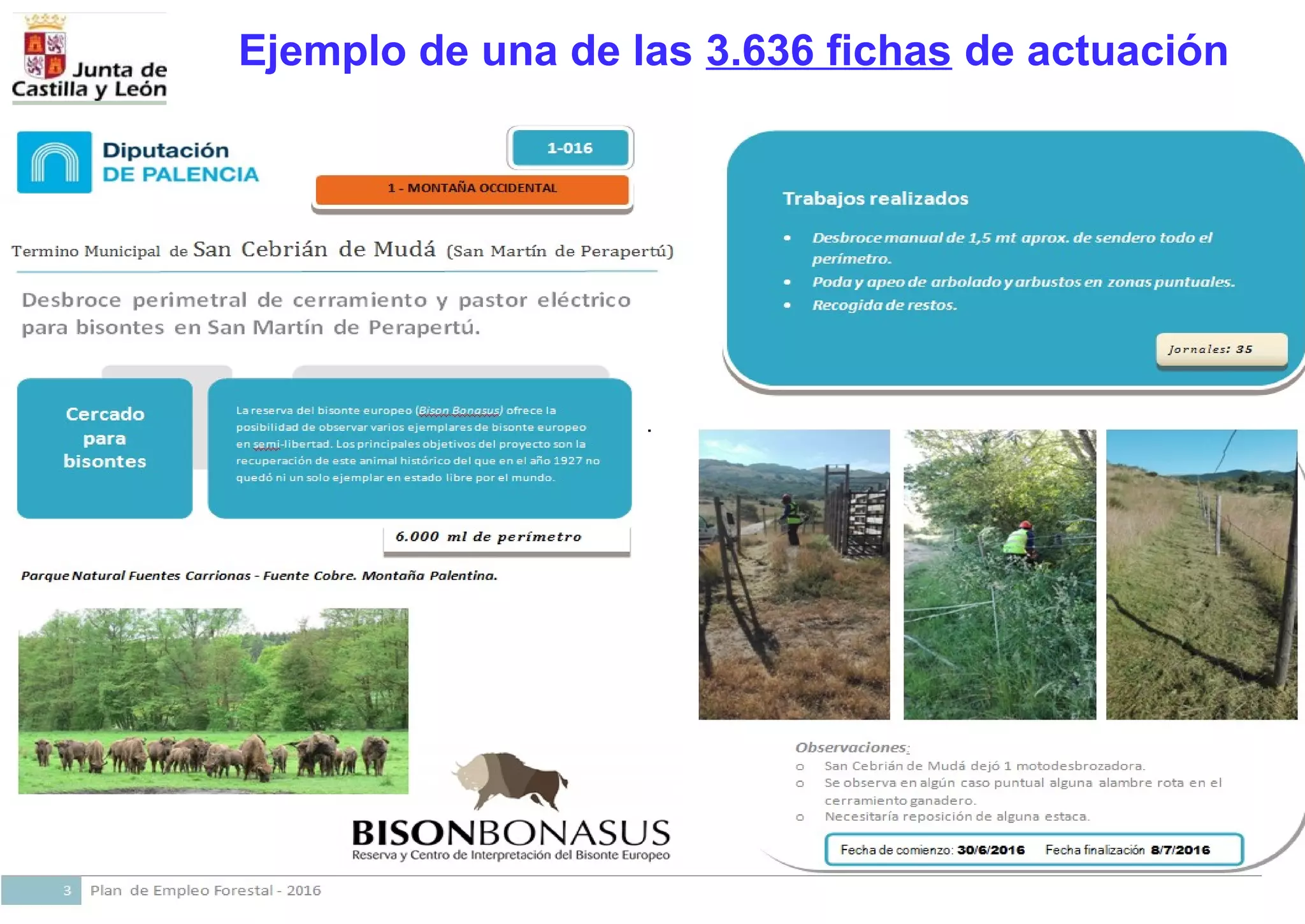 Ejemplo de una de las 3.636 fichas de actuación
 