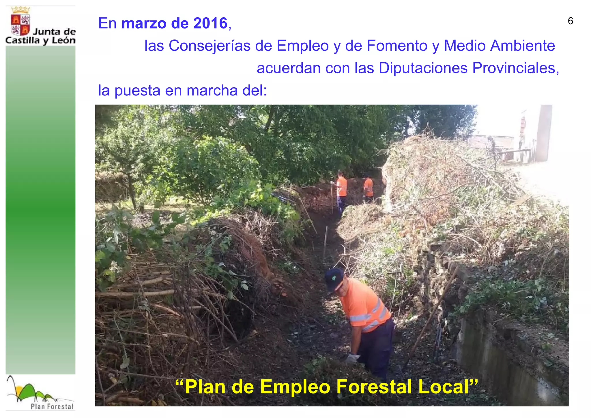 6En marzo de 2016,
las Consejerías de Empleo y de Fomento y Medio Ambiente
acuerdan con las Diputaciones Provinciales,
la puesta en marcha del:
“Plan de Empleo Forestal Local”
 