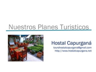 Hostal Capurganá
tourshostalcapurgana@gmail.com
http://www.hostalcapurgana.net
Nuestros Planes Turisticos
 