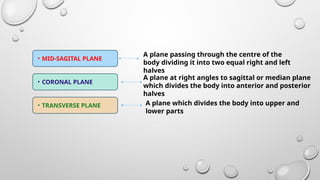 Halves Body Part planes and language of human anatomy .pptx