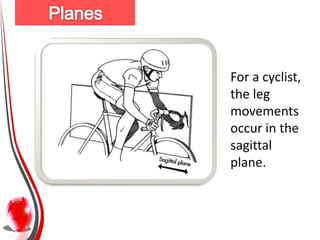 For a cyclist,
the leg
movements
occur in the
sagittal
plane.
 