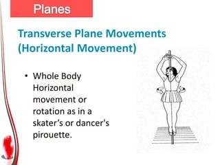 Transverse Plane Movements
(Horizontal Movement)

 • Whole Body
   Horizontal
   movement or
   rotation as in a
   skater’s or dancer's
   pirouette.
 