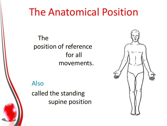 Anatomical Planes And Axis Of Movement
