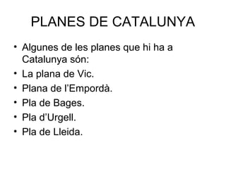 PLANES DE CATALUNYA
• Algunes de les planes que hi ha a
Catalunya són:
• La plana de Vic.
• Plana de l’Empordà.
• Pla de Bages.
• Pla d’Urgell.
• Pla de Lleida.
 