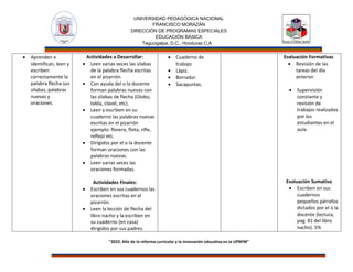 Planes de español para el área de primer grado | PDF