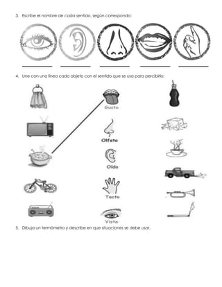 3. Escribe el nombre de cada sentido, según corresponda:
4. Une con una línea cada objeto con el sentido que se usa para percibirlo:
5. Dibuja un termómetro y describe en que situaciones se debe usar.
 