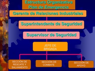Estructura Organizativa
Plan de Emergencia
Superintendente de Seguridad
Gerente de Relaciones Industriales
Supervisor de Seguridad
JEFE DE
BRIGADA
SECCIÓN DE
RESCATE Y
SALVAMENTO
SECCIÓN DE
APOYO
SECCIÓN DE
COMBATE
 