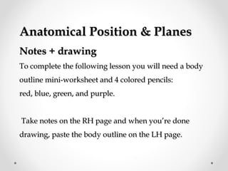 Anatomical Position & PlanesAnatomical Position & Planes
Notes + drawingNotes + drawing
To complete the following lesson you will need a bodyTo complete the following lesson you will need a body
outline mini-worksheet and 4 colored pencils:outline mini-worksheet and 4 colored pencils:
red, blue, green, and purple.red, blue, green, and purple.
Take notes on the RH page and when you’re doneTake notes on the RH page and when you’re done
drawing, paste the body outline on the LH page.drawing, paste the body outline on the LH page.
 