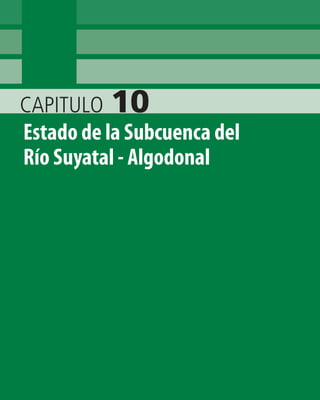 CAPITULO 10
Estado de la Subcuenca del
Río Suyatal - Algodonal
 
