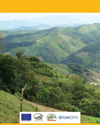 Planes Para Manejo de Cuenca.  Ing. Pedro Baca.  