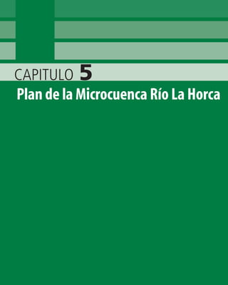 CAPITULO 5
Plan de la Microcuenca Río La Horca
 