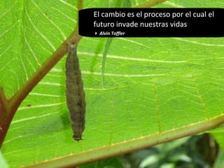 El cambio es el proceso por el cual el futuro invade nuestras vidas    Alvin Toffler 