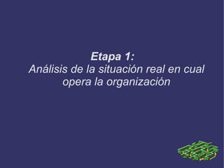 Resumen Etapa 1:  Análisis de la situación real en cual opera la organización 