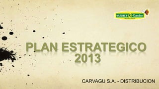 PLAN ESTRATEGICO
       2013
       CARVAGU S.A. - DISTRIBUCION
 