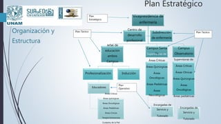 Plan Estratégico
Organización y
Estructura
Vicepresidencia de
enfermería
Jefas de
educación
ambos
Campus
Profesionalización
Educadores
Áreas Críticas
Áreas quirúrgicas
Áreas Oncológicas
Áreas Pediátricas
Áreas Cínicas
Terapia Intravenosa
Cuidados de la Piel
Inducción
Campus Santa
FeSupervisoras de:
Áreas Críticas
Áreas Quirúrgicas
Áreas
Oncológicas
Áreas Pediátricas
Áreas
Neurológicas
Áreas Clínicas
Encargadas de
Servicio y
Tutorado
Campus
Observatorio
Supervisoras de:
Áreas Críticas
Áreas Clínicas
Áreas Quirúrgicas
Áreas
Oncológicas
Áreas pediátricas
Encargadas de
Servicio y
Tutorado
Centro de
desarrollo
profesional
Subdirección
de enfermería
Plan
Operativo
Plan
Estratégico
Plan Táctico Plan Táctico
 