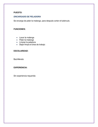 Plan estrategico y tecnologico