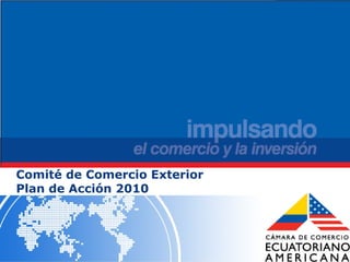 Comité de Comercio Exterior Plan de Acción 2010 