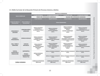 13
Planes
y
Programas
de
Educación
Primaria
y
Secundaria
de
Personas
Jóvenes
y
Adultas
1.5. Malla Curricular de la Educación Primaria de Personas Jóvenes y Adultas
MALLA CURRICULAR
ÁMBITOS DE APRENDIZAJE
LA VIDA EN FAMILIA LA VIDA EN COMUNIDAD LA VIDA EN EL PAÍS LA VIDA EN EL COSMOS
PRIMER AÑO APRENDIZAJES ELEMENTALES SEGUNDO AÑO APRENDIZAJES AVANZADOS
Primer Semestre Segundo Semestre Primer Semestre Segundo Semestre
Campos de Saberes y
Conocimientos
Áreas de Saberes y
Conocimientos
TEMAS GENERADORES
COMUNIDAD Y
SOCIEDAD
COSMOS Y
PENSAMIENTO
VIDA, TIERRA Y
TERRITORIO
CIENCIA,
TECNOLOGÍA Y
PRODUCCIÓN
COMUNICACIÓN Y
LENGUAJES
CIENCIAS SOCIALES
CIENCIAS
NATURALES
MATEMÁTICA
TÉCNICA
TECNOLÓGICA
PRODUCTIVA
MÓDULO INTEGRADO
FUNDAMENTAL 1:
“LA SALUD EN LA FAMILIA”
120 Hrs.
MÓDULO INTEGRADO
FUNDAMENTAL 4:
“VIVIR EN COMUNIDAD”
100 Hrs.
MÓDULO INTEGRADO
FUNDAMENTAL 7:
“BOLIVIA:
CULTURAS Y ECOSISTEMAS”-
100 Hrs.
MÓDULO INTEGRADO
FUNDAMENTAL 10:
“CONOCIENDO OTRAS CULTURAS”
100 Hrs.
MÓDULO INTEGRADO
FUNDAMENTAL 2:
“ECONOMÍA FAMILIAR”
120 Hrs.
MÓDULO INTEGRADO
FUNDAMENTAL 5:
“ORGANIZACIÓN COMUNITARIA”
100 Hrs.
MÓDULO INTEGRADO
FUNDAMENTAL 8:
“RESISTENCIA Y LUCHA CONTRA
EL COLONIALISMO EN BOLIVIA”
80 Hrs.
MÓDULO INTEGRADO
FUNDAMENTAL 11:
“FENÓMENOS NATURALES
Y CAMBIO CLIMÁTICO”
100 Hrs.
MÓDULO INTEGRADO
FUNDAMENTAL 3:
“NUESTRO ESPACIO FAMILIAR
COMUNITARIO”
120 Hrs.
MÓDULO INTEGRADO
FUNDAMENTAL 6:
“SABERES Y CONOCIMIENTOS
DE MI COMUNIDAD”
100 Hrs.
MÓDULO INTEGRADO
FUNDAMENTAL 9:
“ESTADO PLURINACIONAL
DE BOLIVIA”
100 Hrs.
MÓDULO INTEGRADO
FUNDAMENTAL 12:
“TECNOLOGÍAS DE USO COTIDIANO”
80 Hrs.
MÓDULO INTEGRADO
EMERGENTE
40 Hrs.
MÓDULO INTEGRADO EMERGENTE
60 Hrs.
MÓDULO INTEGRADO EMERGENTE
60 Hrs.
MÓDULO INTEGRADO EMERGENTE
60 Hrs.
MÓDULO INTEGRADO EMERGENTE
40 Hrs.
MÓDULO INTEGRADO EMERGENTE
40 Hrs.
MÓDULO INTEGRADO EMERGENTE
40 Hrs.
CARGA HORARIA
4 MÓDULOS INTEGRADOS
(400 horas)
5 MÓDULOS INTEGRADOS
(400 horas)
5 MÓDULOS INTEGRADOS
(400 horas)
5 MÓDULOS INTEGRADOS
(400 horas)
 