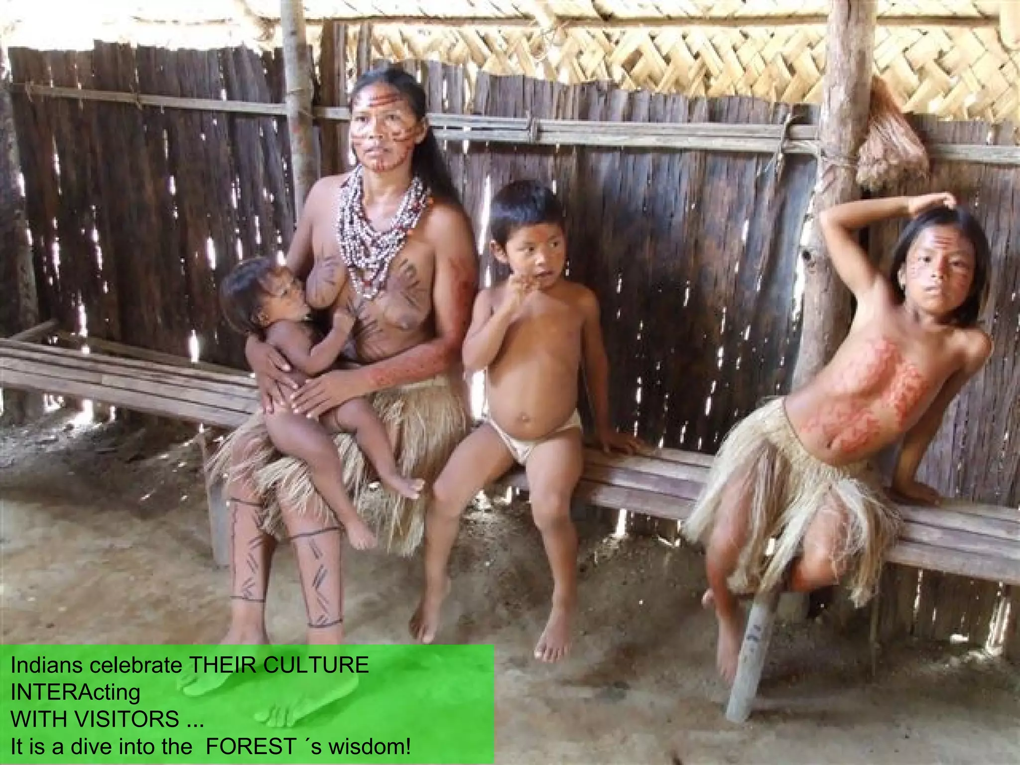 Indians celebrate THEIR CULTURE INTERActing WITH VISITORS ...  It is a dive into the  FOREST ´s wisdom! 