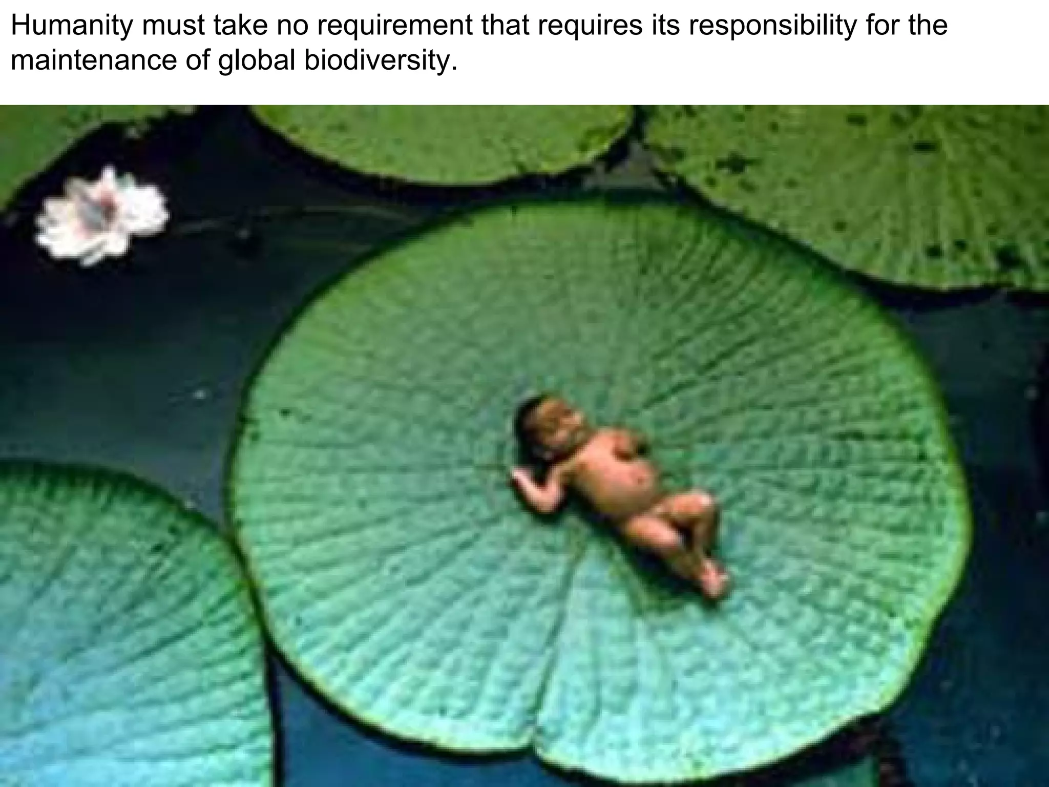 Humanity must take no requirement that requires its responsibility for the maintenance of global biodiversity. 