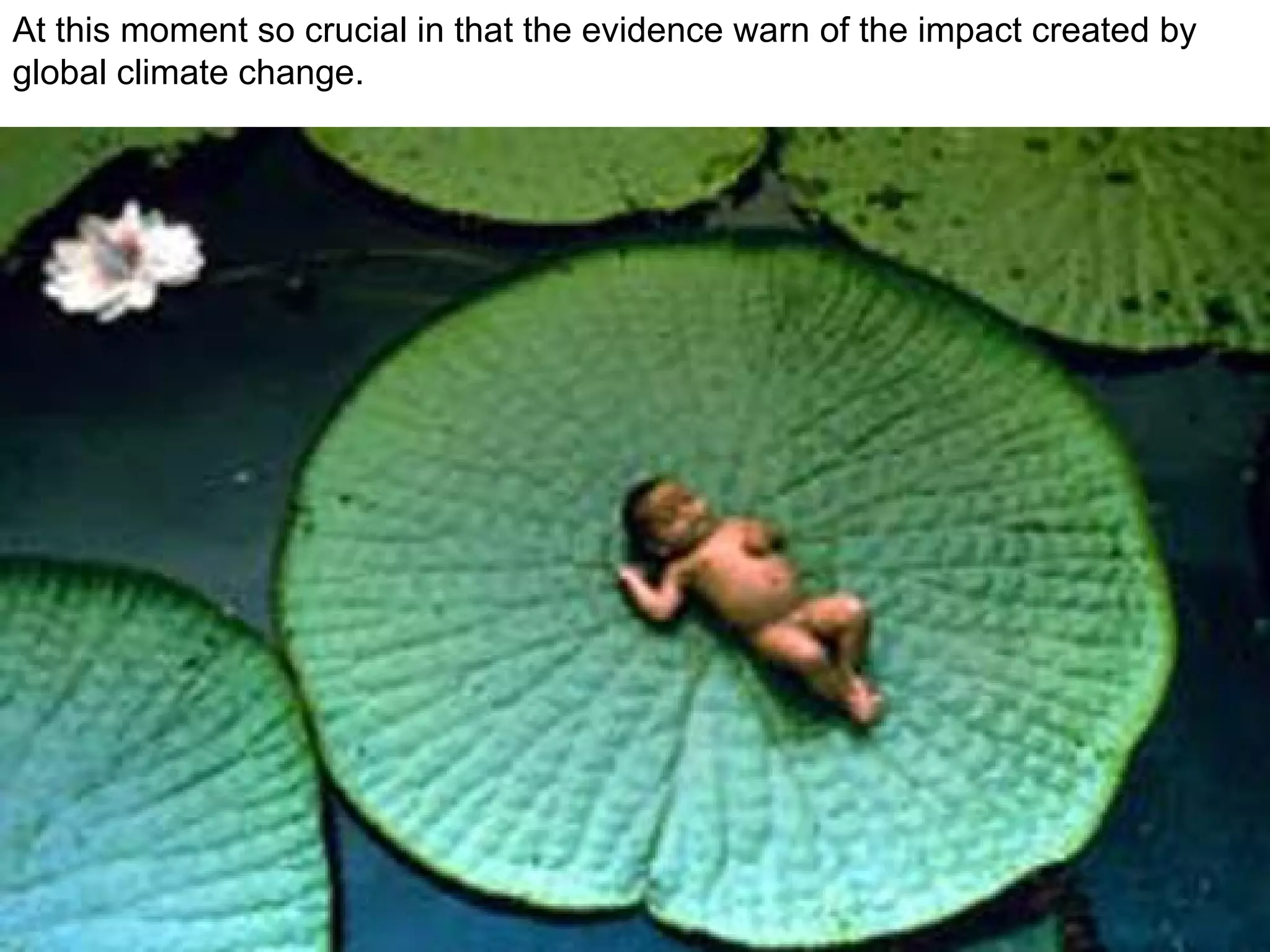 At this moment so crucial in that the evidence warn of the impact created by global climate change. 