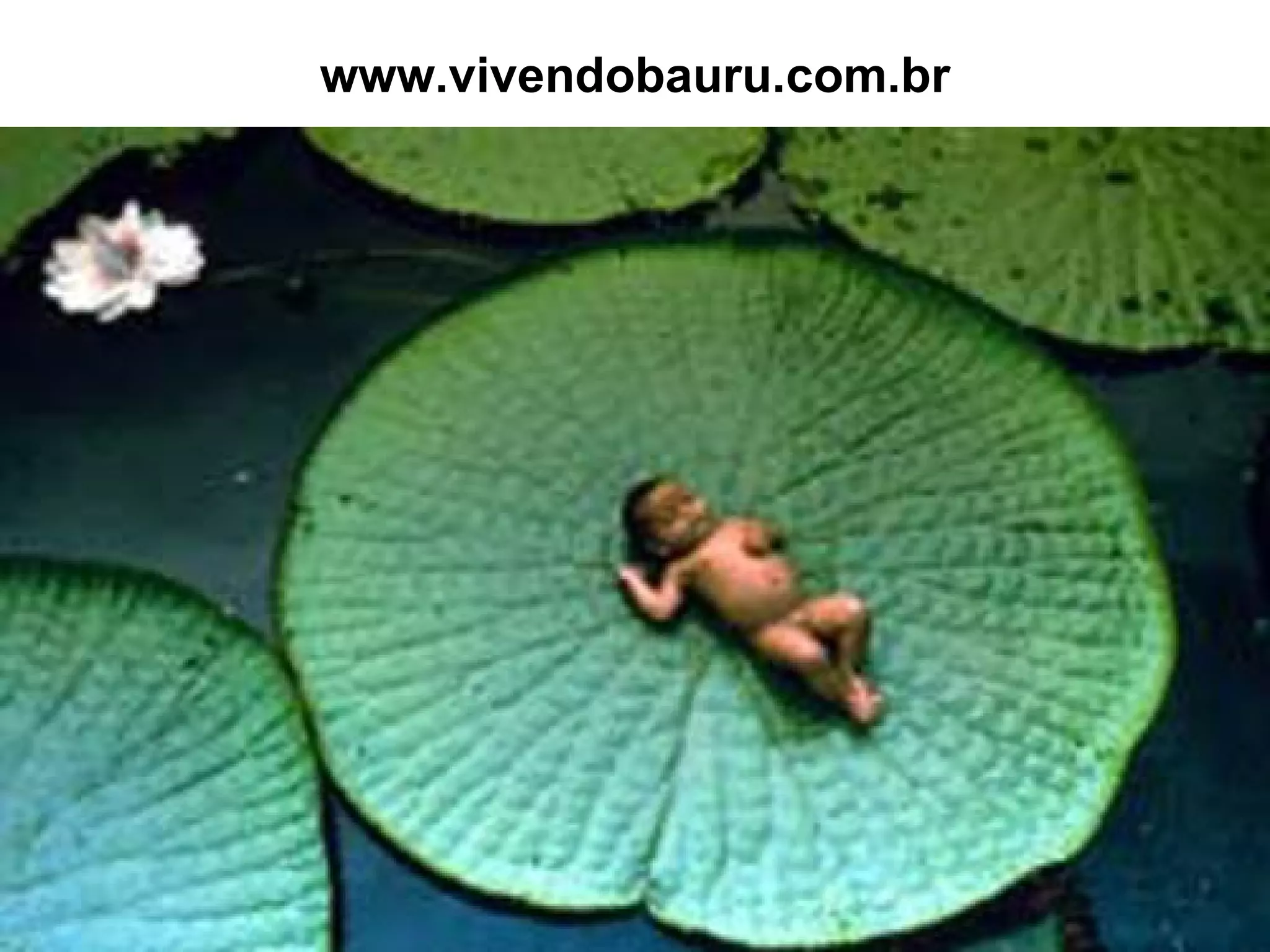 www.vivendobauru.com.br 