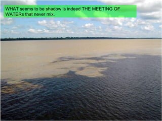 WHAT seems to be shadow is indeed THE MEETING OF WATERs that never mix. 