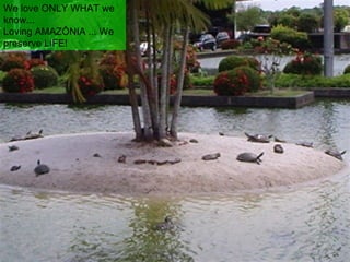 We love ONLY WHAT we know...  Loving AMAZÔNIA ... We preserve LIFE! 