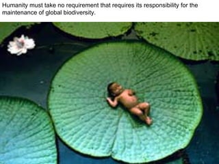 Humanity must take no requirement that requires its responsibility for the maintenance of global biodiversity. 