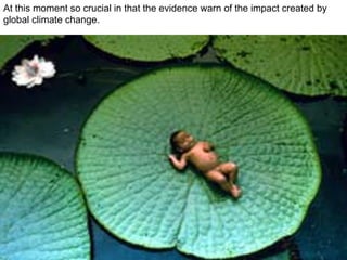 At this moment so crucial in that the evidence warn of the impact created by global climate change. 