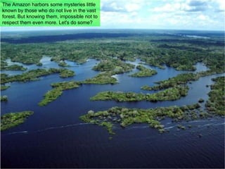 The Amazon harbors some mysteries little known by those who do not live in the vast forest. But knowing them, impossible not to respect them even more. Let's do some? 