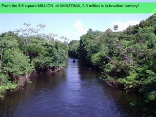 From the 5.5 square MILLION  of AMAZONIA, 3.3 million is in brazilian territory! 