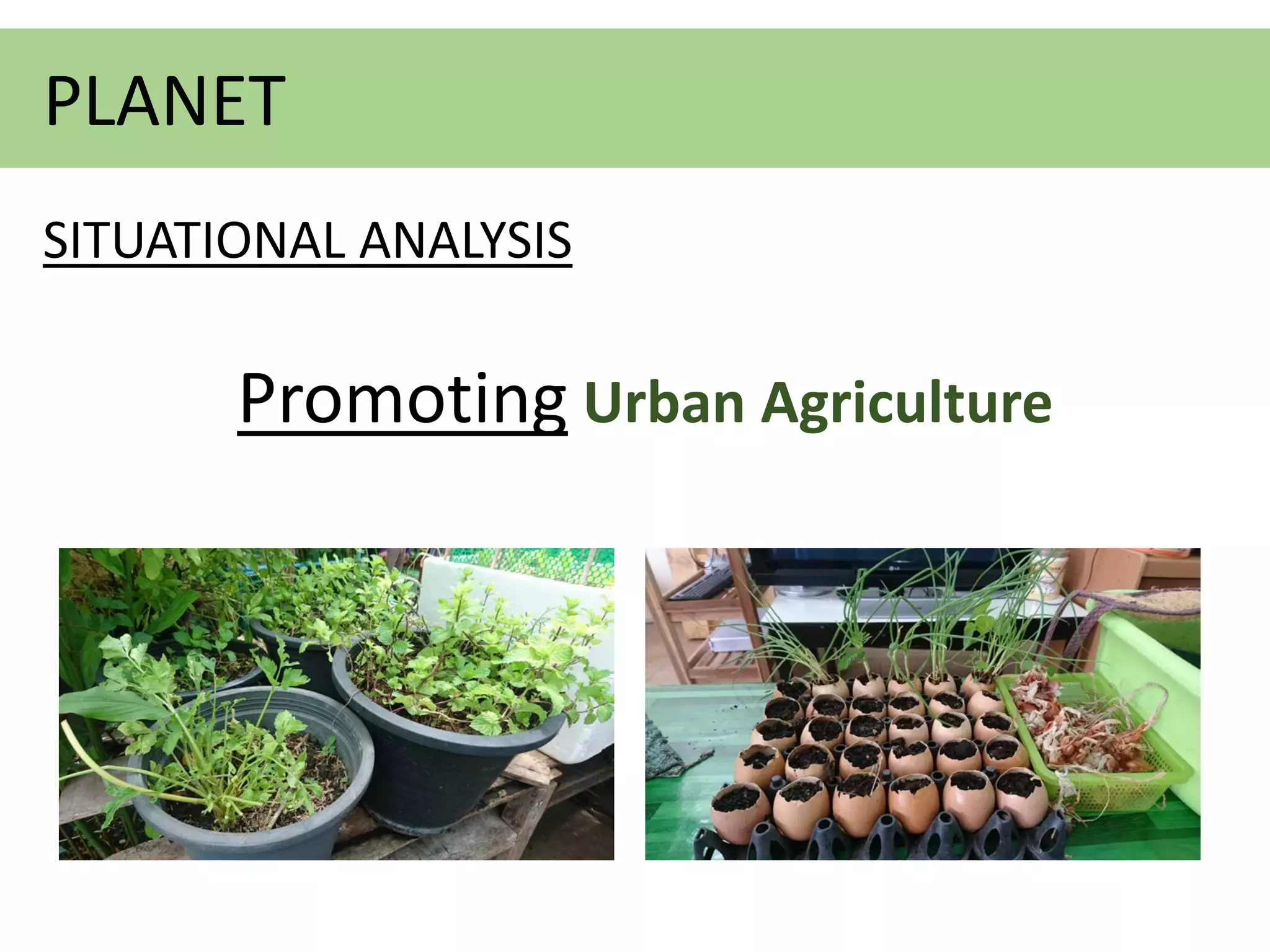Promoting Urban Agriculture
PLANET
SITUATIONAL ANALYSIS
 