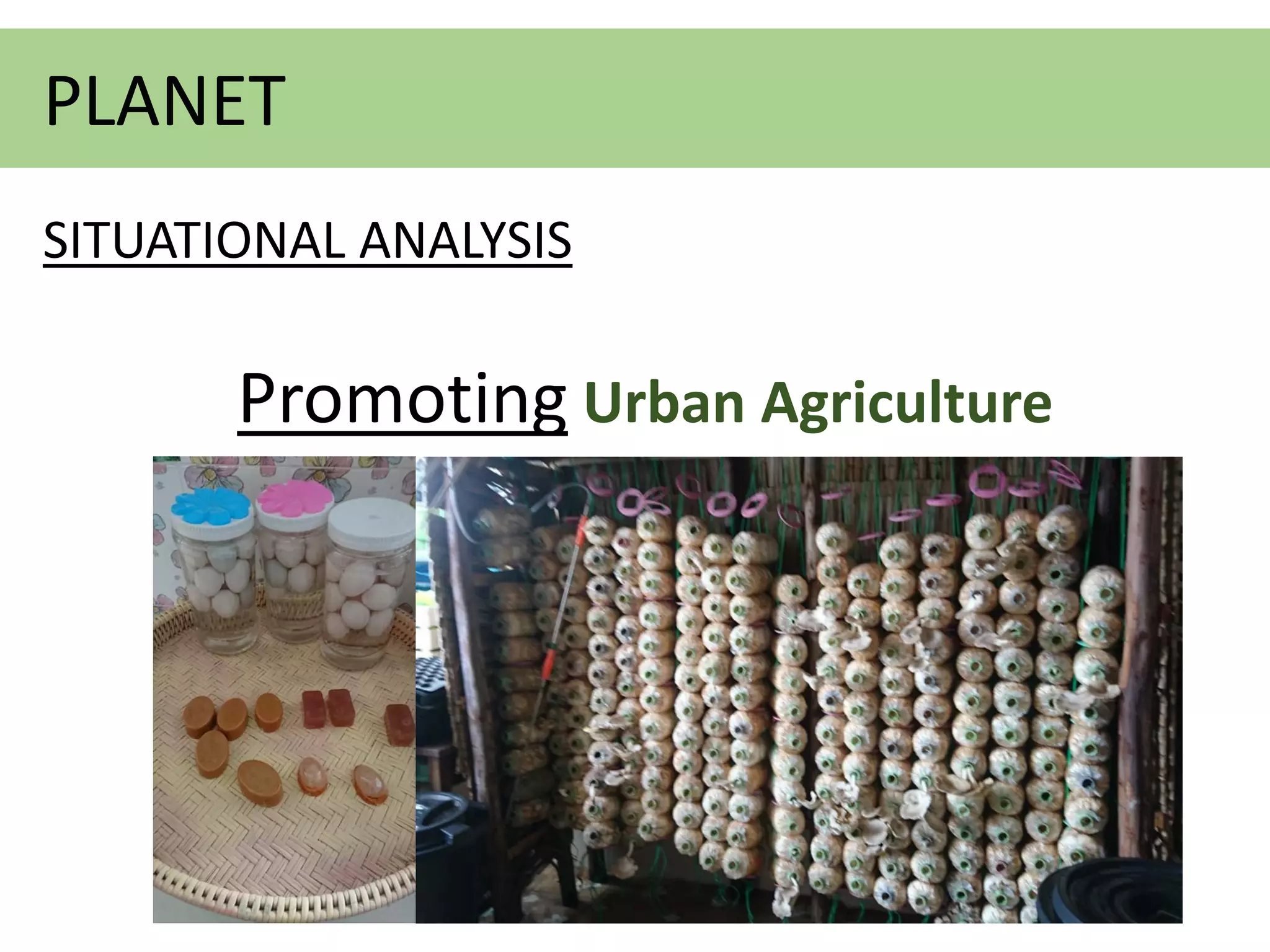 Promoting Urban Agriculture
PLANET
SITUATIONAL ANALYSIS
 