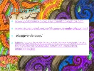  www.porlareserva.org.ar/FrasesEcologicas.htm
 www.frasescelebres.net/frases-de-naturaleza.html
 elblogverde.com/
 http://www.forodefotos.com/attachments/fotos-
flores/4309d1222088568-fotos-de-orquidea-
orquideas.jpg
 