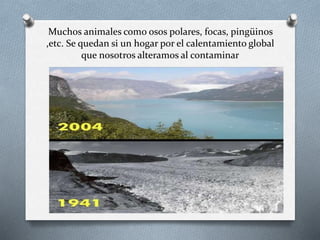 Muchos animales como osos polares, focas, pingüinos
,etc. Se quedan si un hogar por el calentamiento global
que nosotros alteramos al contaminar
 