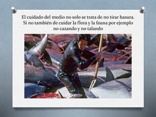 El cuidado del medio no solo se trata de no tirar basura.
Si no también de cuidar la flora y la fauna por ejemplo
no cazando y no talando
 