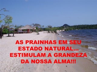 AS PRAINHAS EM SEU ESTADO NATURAL... ESTIMULAM A GRANDEZA DA NOSSA ALMA!!! 
