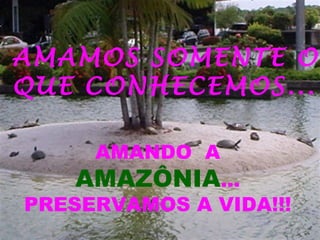 AMAMOS SOMENTE O QUE CONHECEMOS... AMANDO  A  AMAZÔNIA ... PRESERVAMOS A VIDA!!! 