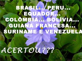 BRASIL... PERU... EQUADOR...  COLÔMBIA... BOLÍVIA...  GUIANA FRANCESA...  SURINAME E VENEZUELA ACERTOU??? 