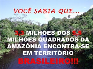 3,3  MILHÕES DOS  5,5  MILHÕES QUADRADOS DA AMAZÔNIA ENCONTRA-SE EM TERRITÓRIO BRASILEIRO!!! VOCÊ SABIA QUE...   