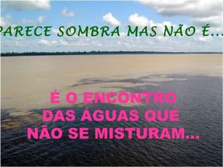 É O ENCONTRO DAS ÁGUAS QUE  NÃO SE MISTURAM... PARECE SOMBRA MAS NÃO É... 