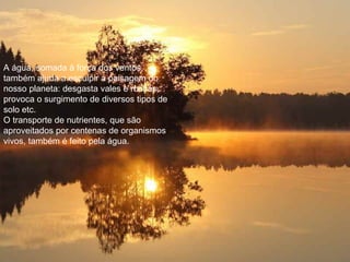 A água, somada à força dos ventos, também ajuda a esculpir a paisagem do nosso planeta: desgasta vales e rochas, provoca o surgimento de diversos tipos de solo etc. O transporte de nutrientes, que são aproveitados por centenas de organismos vivos, também é feito pela água. 