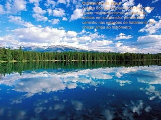 O Caminho da Água A água dos mananciais e dos poços, por conter microorganismos e partículas sólidas em suspensão, percorre um caminho nas estações de tratamento até chegar limpa ao hidrômetro. 