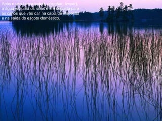 Após o uso ( para beber, cozinhar, limpar), a água vai para os ralos e em seguida para os canos que vão dar na caixa de inspeção e na saída do esgoto doméstico. 