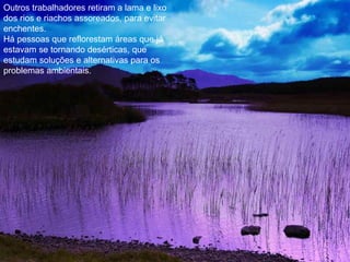 Outros trabalhadores retiram a lama e lixo dos rios e riachos assoreados, para evitar enchentes. Há pessoas que reflorestam áreas que já estavam se tornando desérticas, que estudam soluções e alternativas para os problemas ambientais.  
