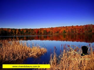 www.vivendobauru.com.br 
