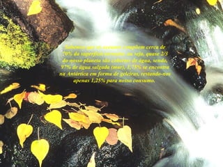 Sabemos que os oceanos compõem cerca de 70% da superfície terrestre, ou seja, quase 2/3 do nosso planeta são cobertos de água, sendo, 97% de água salgada (mar), 1,75% se encontra na Antártica em forma de geleiras, restando-nos apenas 1,25% para nosso consumo.  